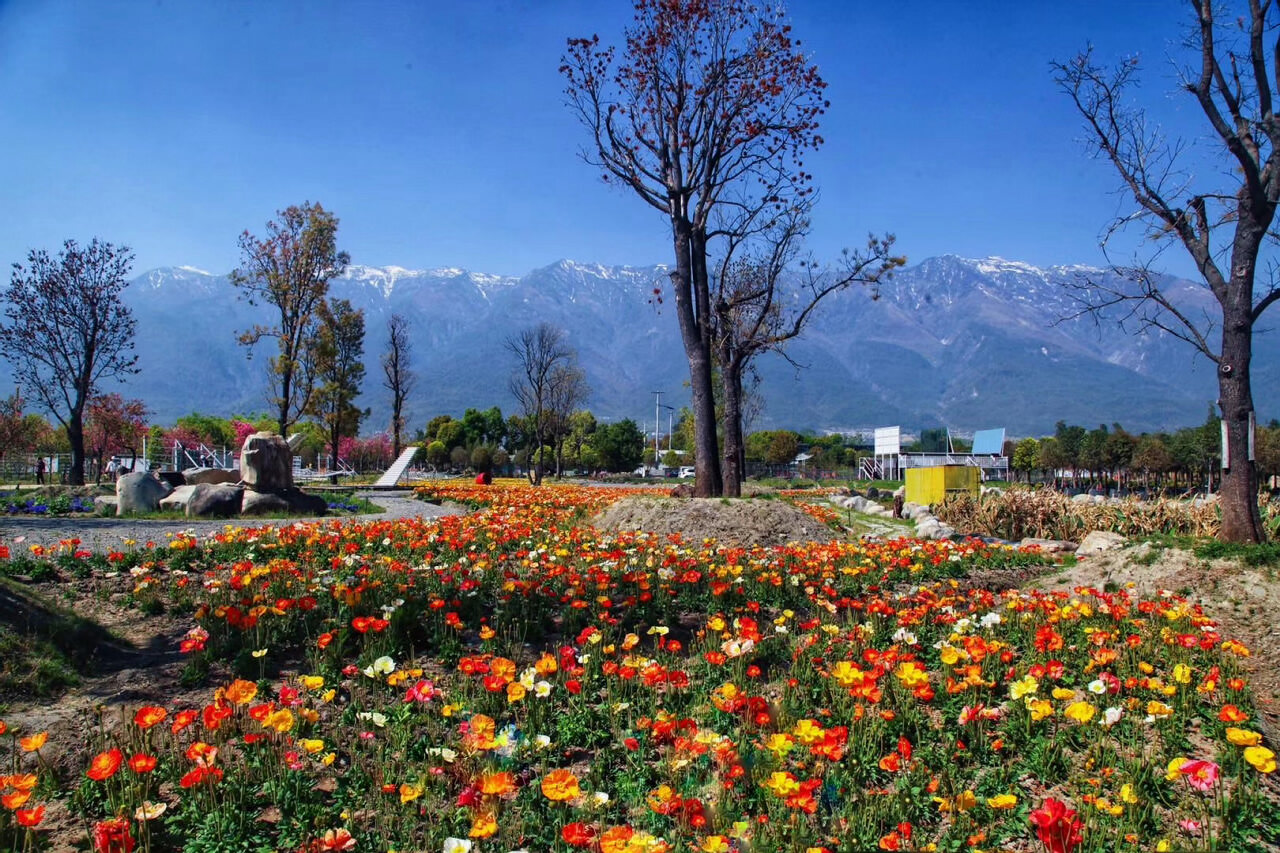 大理戶外拓展訓練基地 大理戶外拓展訓練基地