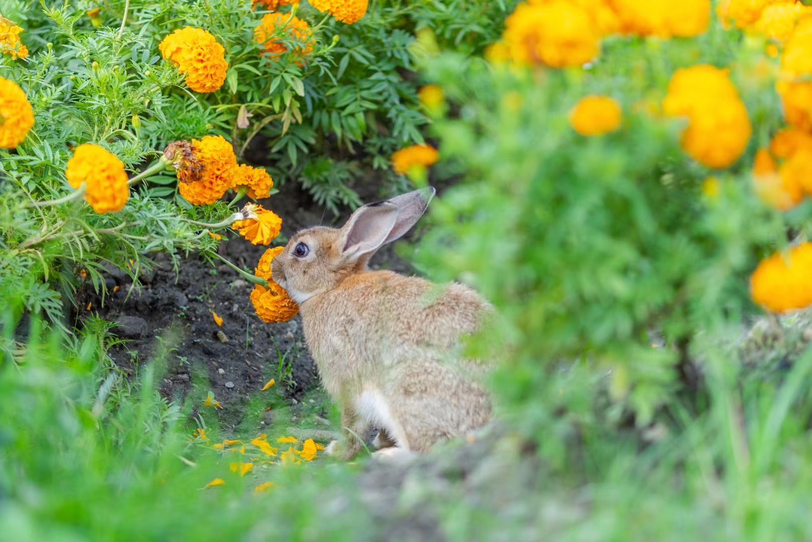 大理戶外拓展訓練基地 大理戶外拓展訓練基地