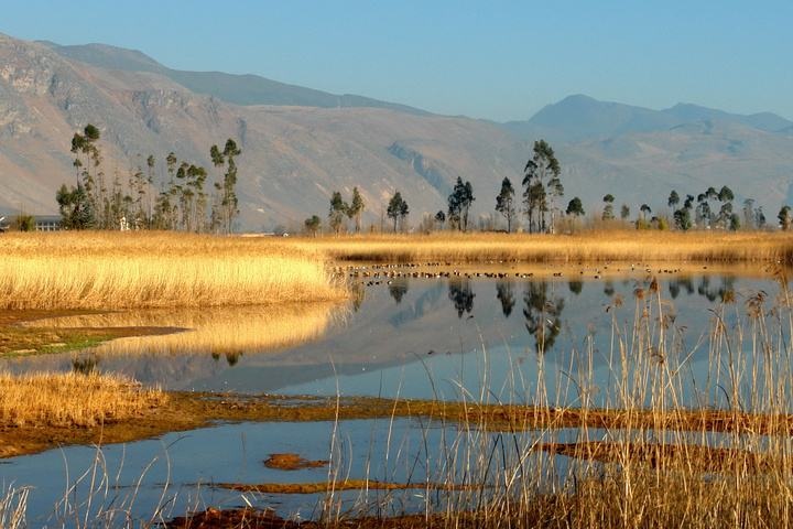 云南鶴慶東草海國家濕地公園 云南鶴慶東草海國家濕地公園