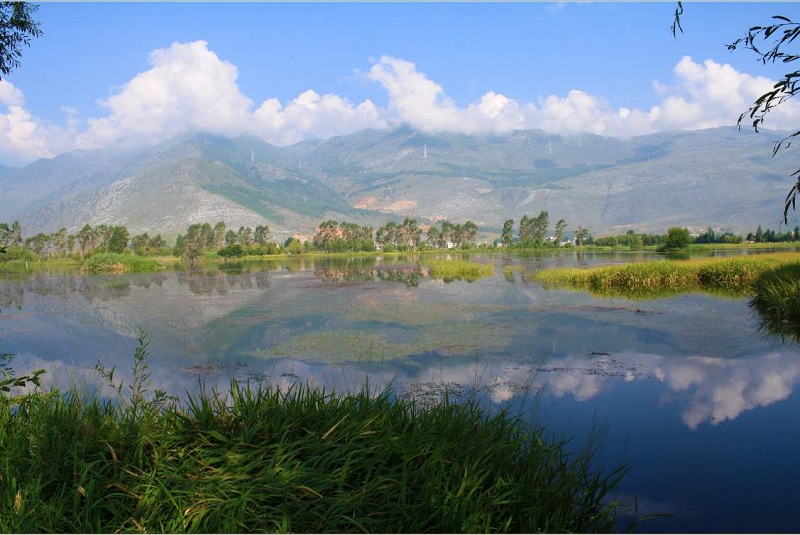 云南鶴慶東草海國家濕地公園 云南鶴慶東草海國家濕地公園