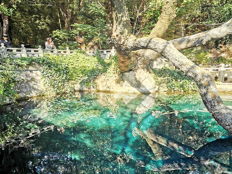 大理蝴蝶泉 大理蝴蝶泉