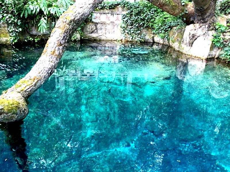 大理蝴蝶泉 大理蝴蝶泉