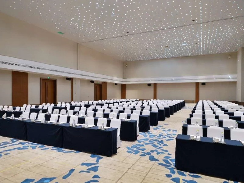 大理會議酒店 大理會議酒店