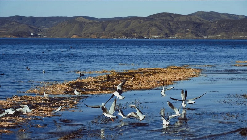 大理會展 大理會展