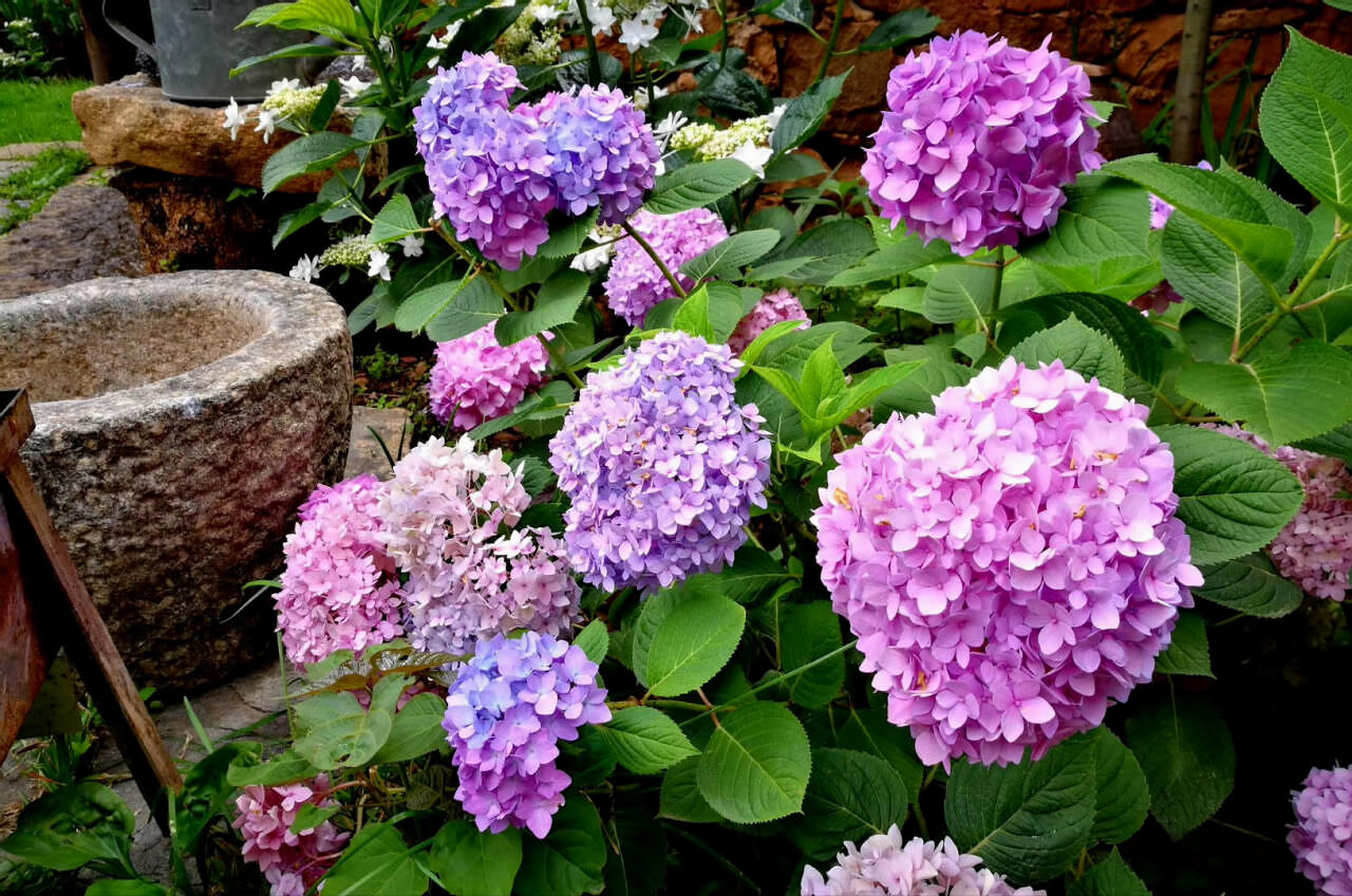 大理茶馬古道團建鳳陽邑古村落 大理茶馬古道團建鳳陽邑古村落