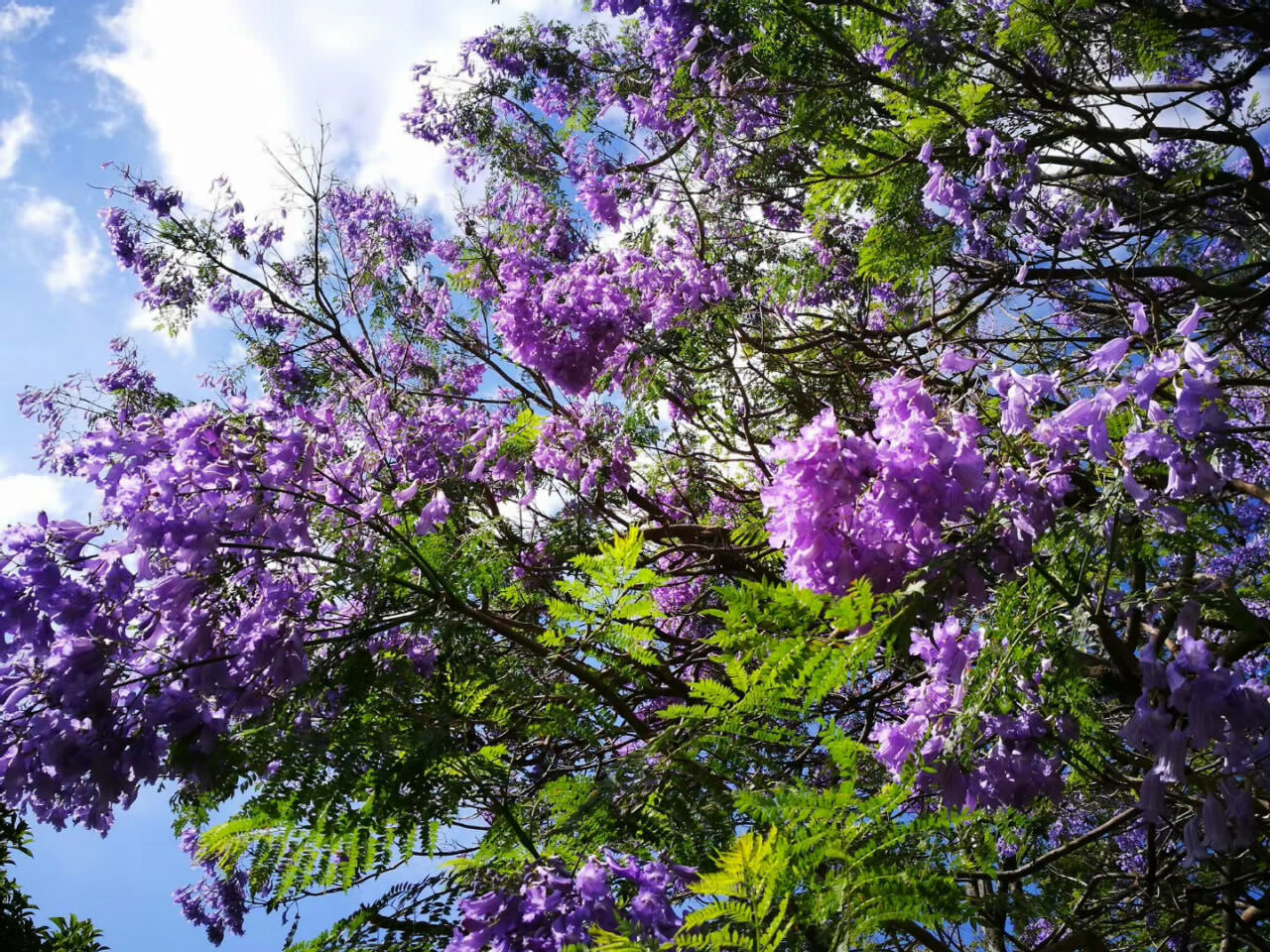 大理茶馬古道團建鳳陽邑古村落 大理茶馬古道團建鳳陽邑古村落