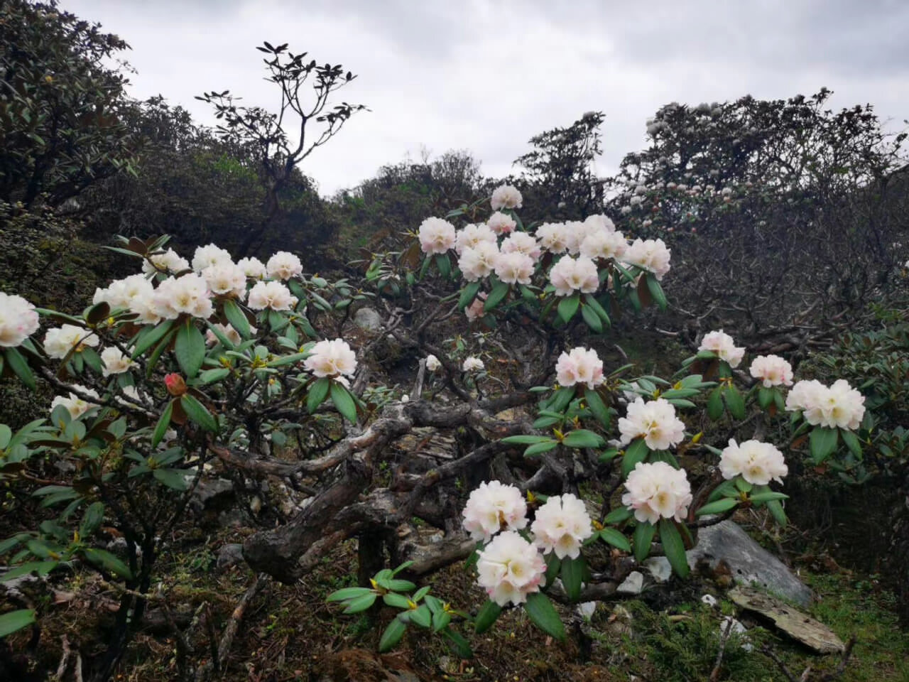 大理洗馬潭景區戶外徒步路線 大理洗馬潭景區戶外徒步路線