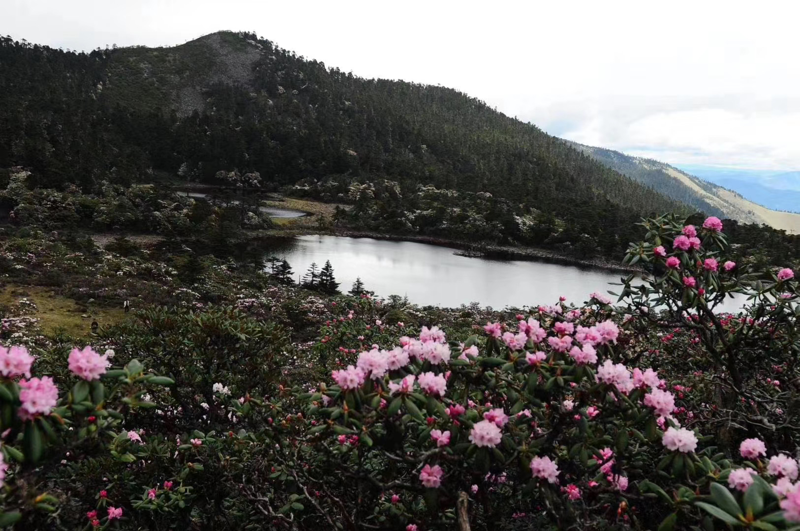 大理洗馬潭景區戶外徒步路線 大理洗馬潭景區戶外徒步路線