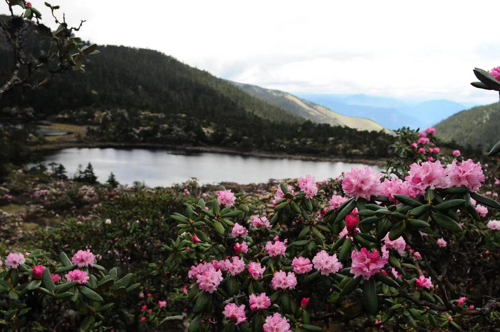 大理洗馬潭景區戶外徒步路線 大理洗馬潭景區戶外徒步路線