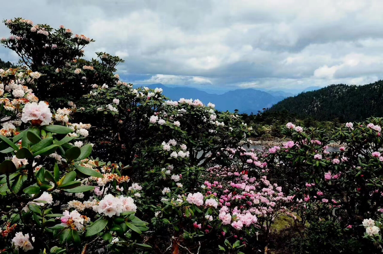 大理洗馬潭景區戶外徒步路線 大理洗馬潭景區戶外徒步路線