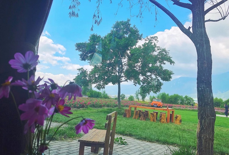 大理會議會展活動 大理會議會展活動