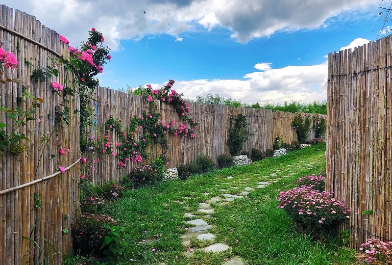 大理會議會展活動 大理會議會展活動