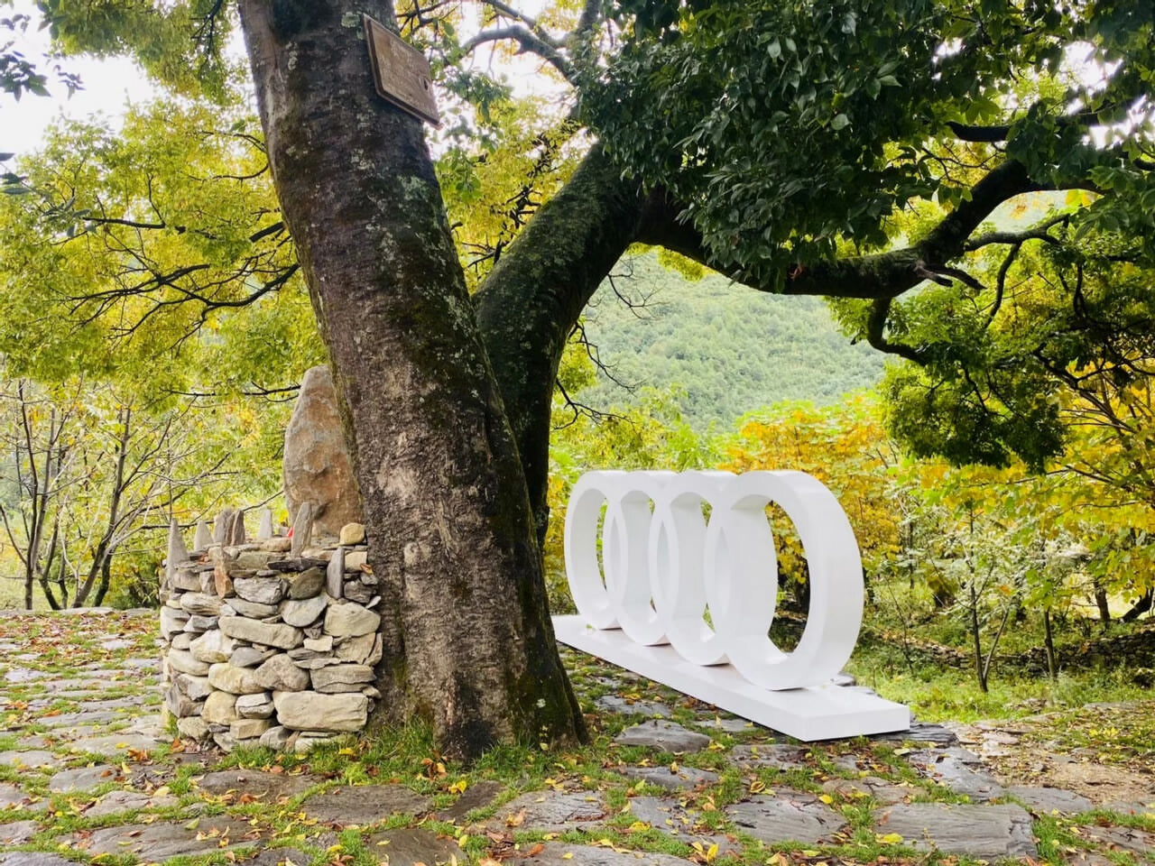 奧迪A6大理洱源鳳羽試駕之旅 奧迪A6大理洱源鳳羽試駕之旅