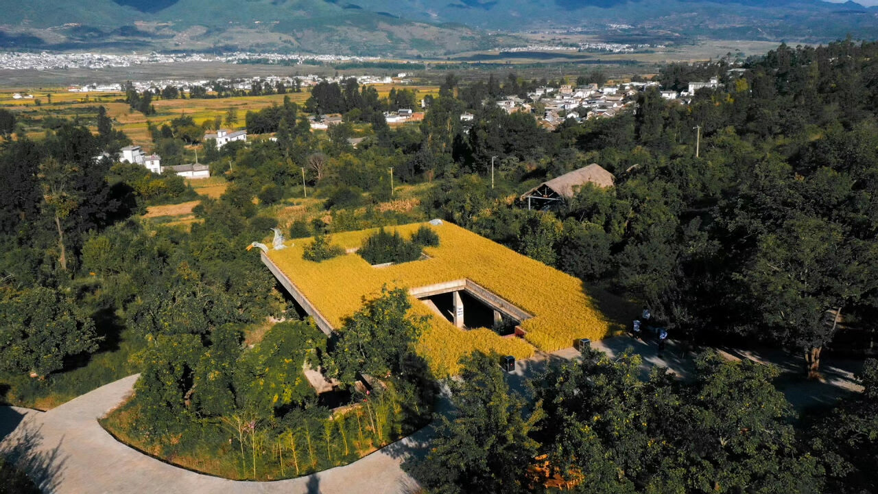 大理洱源鳳羽稻田劇場 大理洱源鳳羽稻田劇場