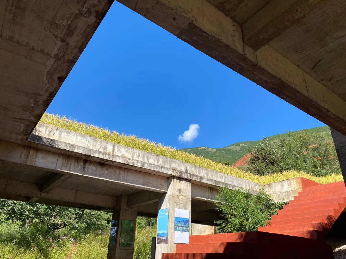大理洱源鳳羽稻田劇場 大理洱源鳳羽稻田劇場