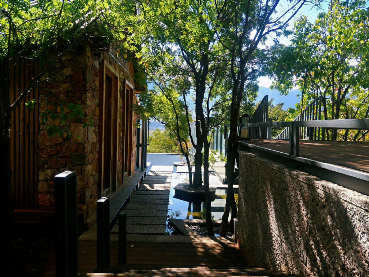 大理洱源鳳羽稻田劇場 大理洱源鳳羽稻田劇場