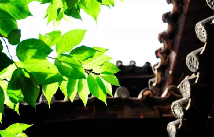 四合五天井 四合五天井