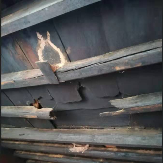 貢爺家風 貢爺家風