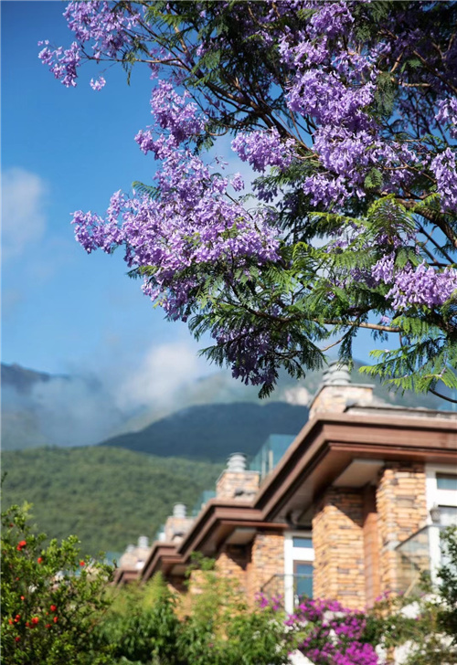 大理海納爾云墅度假酒店預定 大理海納爾云墅度假酒店預定