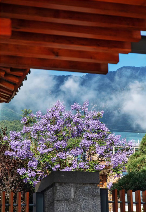 大理海納爾云墅度假酒店預定 大理海納爾云墅度假酒店預定