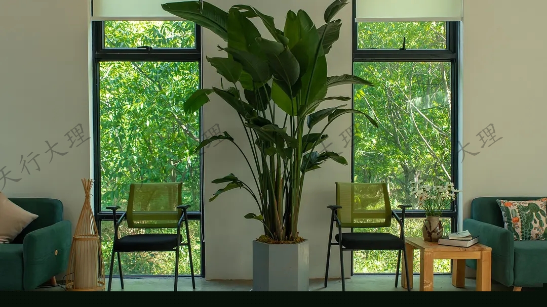 大理小重山鹿鳴山莊戶外基地 大理小重山鹿鳴山莊戶外基地