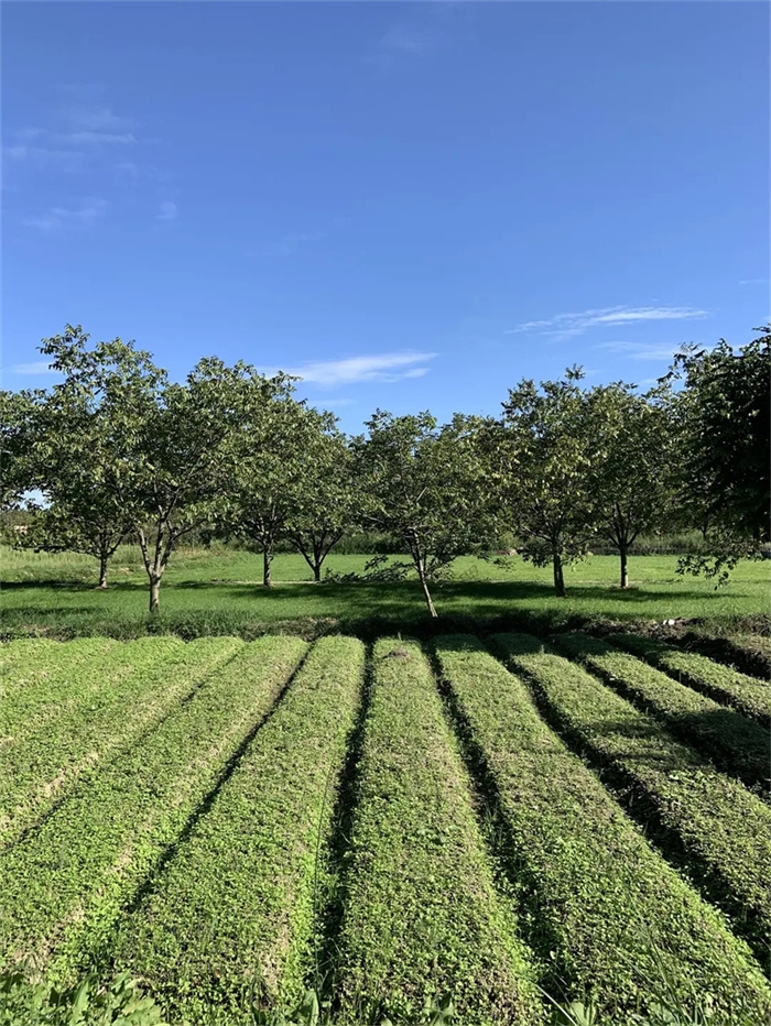 大理小重山鹿鳴山莊戶外基地 大理小重山鹿鳴山莊戶外基地