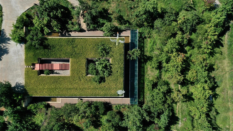 大理洱源鳳羽空中稻田劇場 大理洱源鳳羽空中稻田劇場