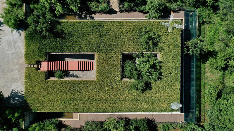 大理洱源鳳羽空中稻田劇場 大理洱源鳳羽空中稻田劇場