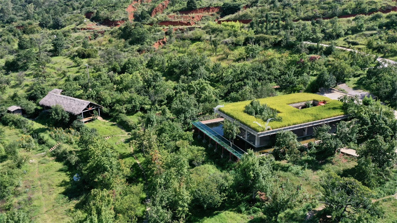 大理洱源鳳羽空中稻田劇場 大理洱源鳳羽空中稻田劇場