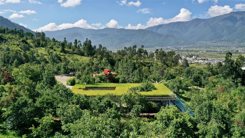 大理洱源鳳羽空中稻田劇場 大理洱源鳳羽空中稻田劇場