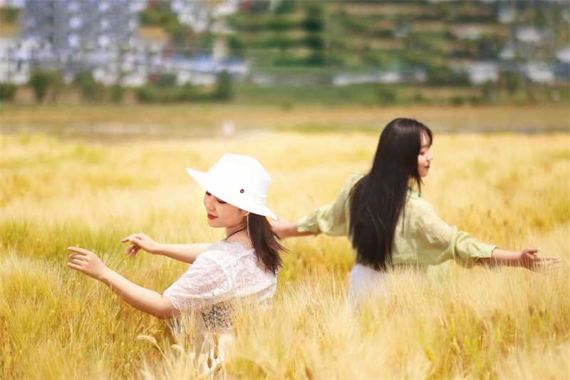 大理攝影攝像:大理洱海喜洲古鎮吉普車專業旅拍一日游 大理攝影攝像:大理洱海喜洲古鎮吉普車專業旅拍一日游