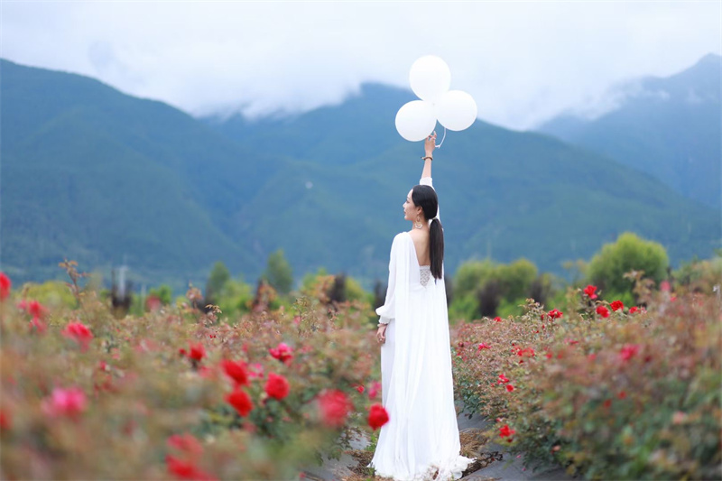 大理攝影攝像:大理洱海喜洲古鎮吉普車專業旅拍一日游 大理攝影攝像:大理洱海喜洲古鎮吉普車專業旅拍一日游