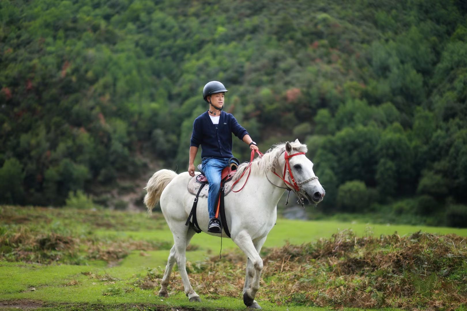 大理花甸壩騎馬徒步自駕 大理花甸壩騎馬徒步自駕