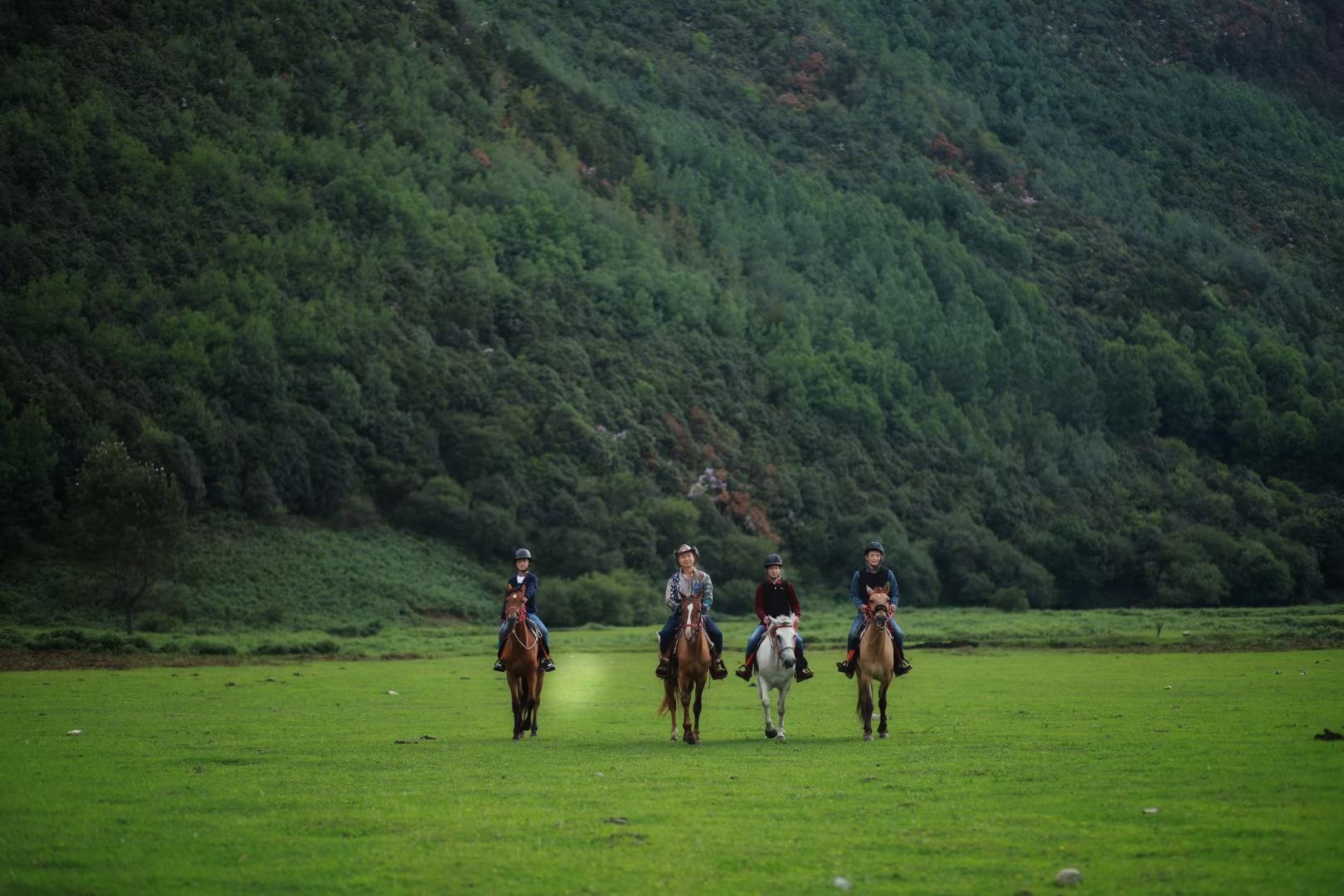 大理花甸壩騎馬徒步自駕 大理花甸壩騎馬徒步自駕