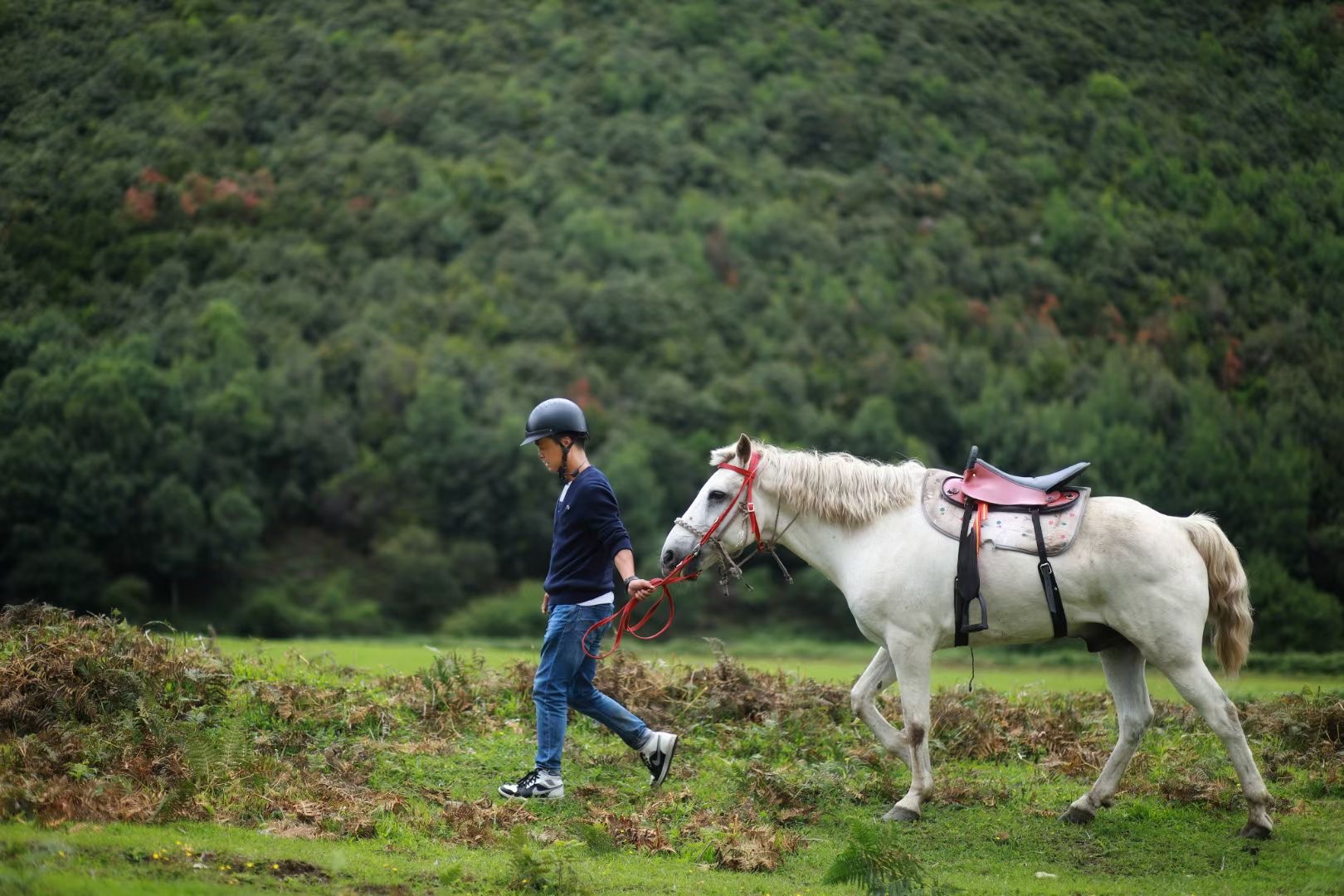 大理花甸壩騎馬徒步自駕 大理花甸壩騎馬徒步自駕