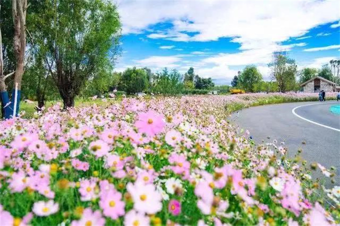 洱海生態廊道，不見不散